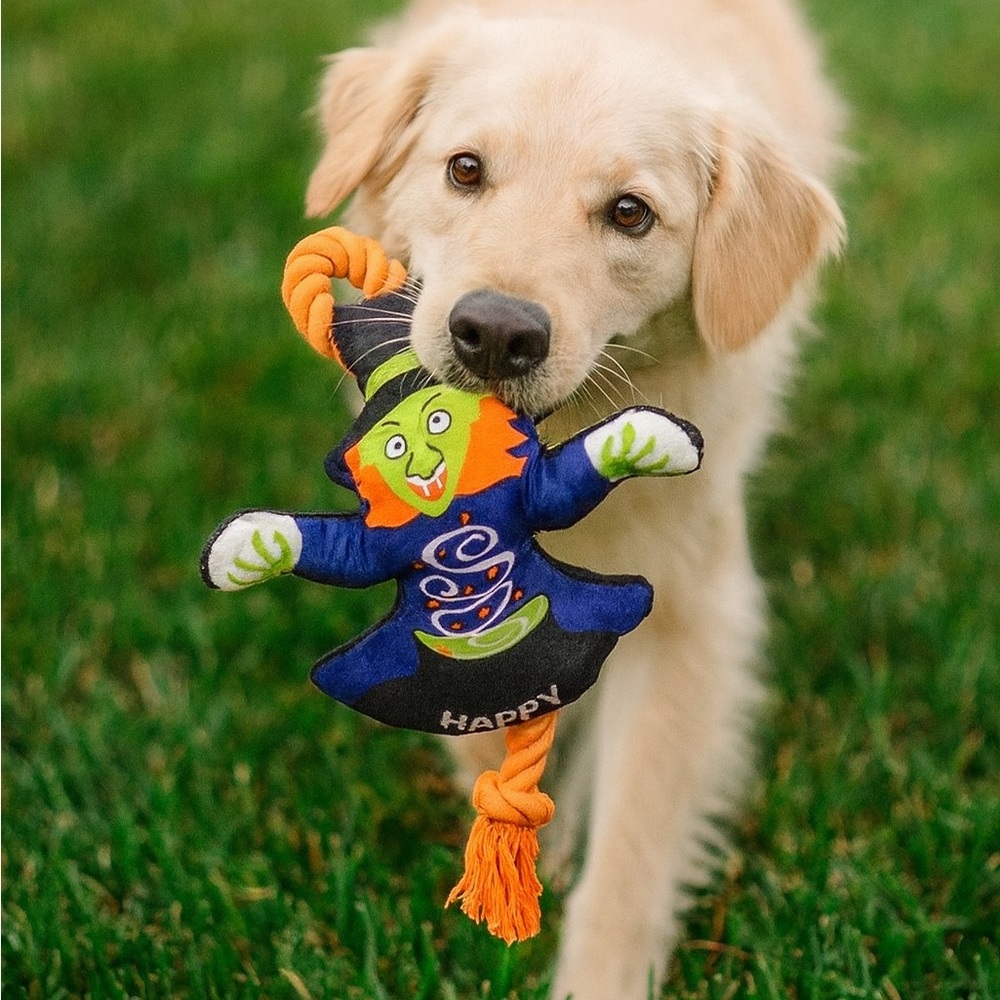 Witch Halloween Chase Chew Squeak Dog Toy